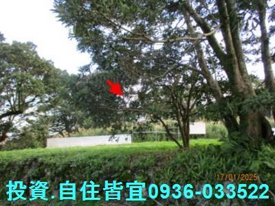 新北三芝山坡地拍賣-2
